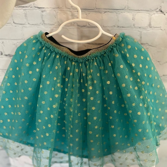 Hanna Andersson Tulle Ballerina Skirt - Picture 1 of 4